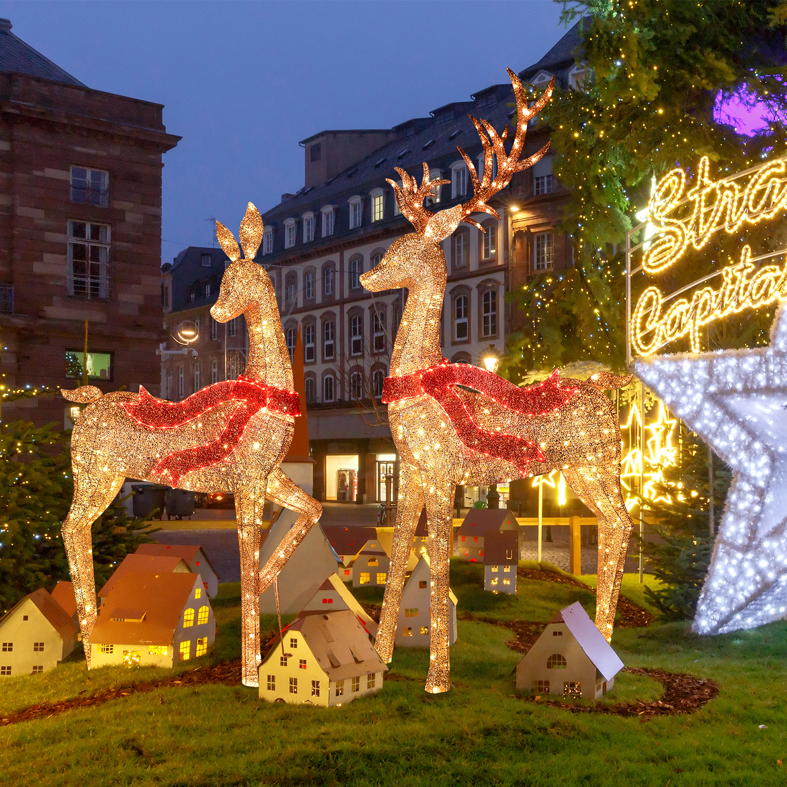 Waterproof 3D Reindeer Christmas Light Display