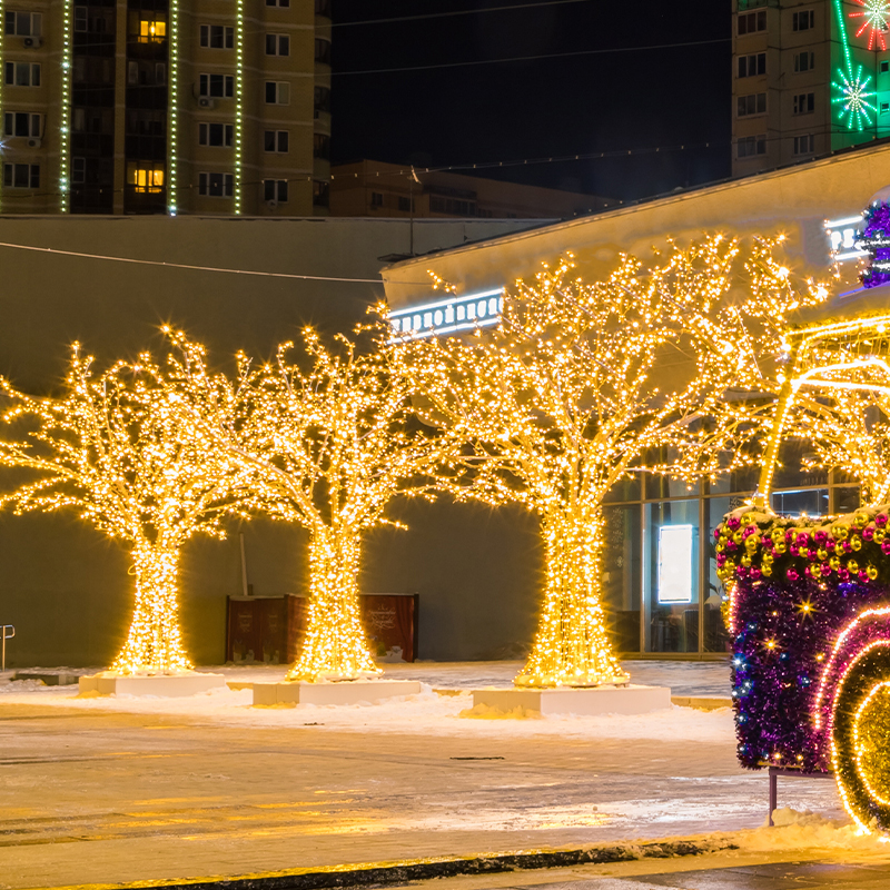 Outdoor winter decoration using LED tree twig branch lights