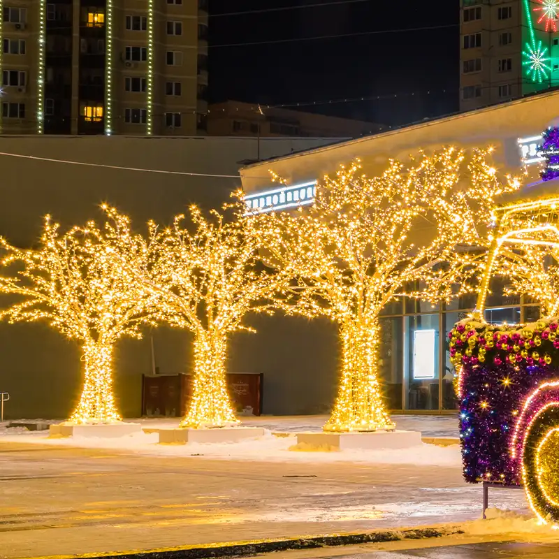 Illuminated Outdoor Trees 3