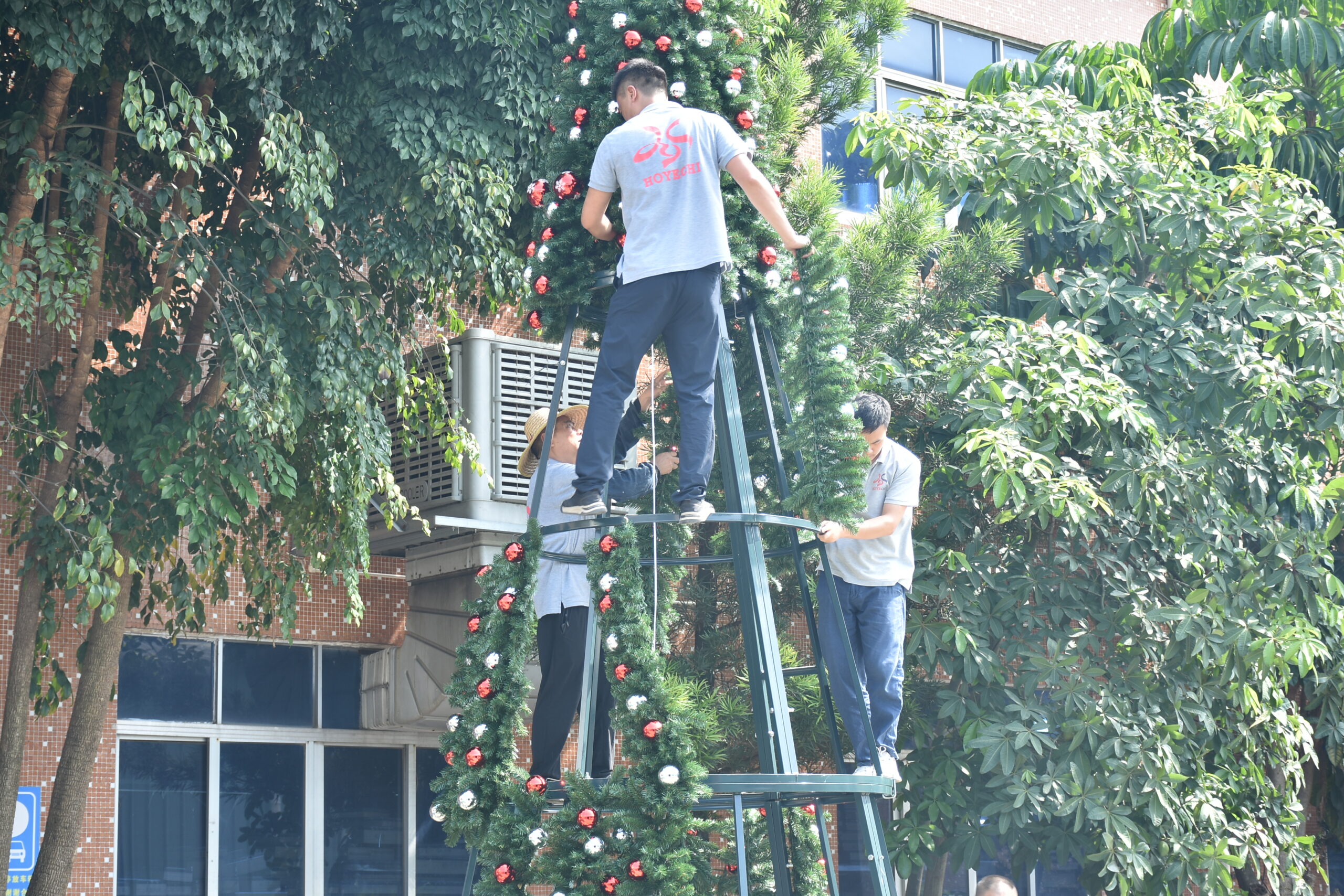 Workers assembling a large commercial Christmas tree during outdoor installation