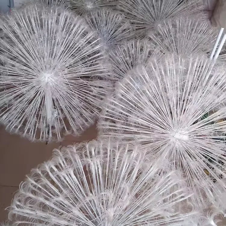 Dandelion light flower heads showing radial construction
