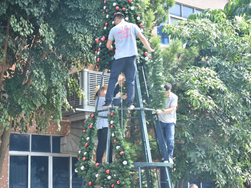 Trabalhadores a montar uma árvore de Natal comercial de grandes dimensões durante a instalação no exterior