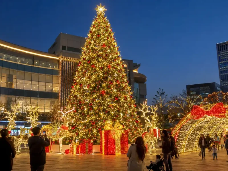 Large commercial Christmas tree with dense warm white and multicolor LED lights in a city plaza at night